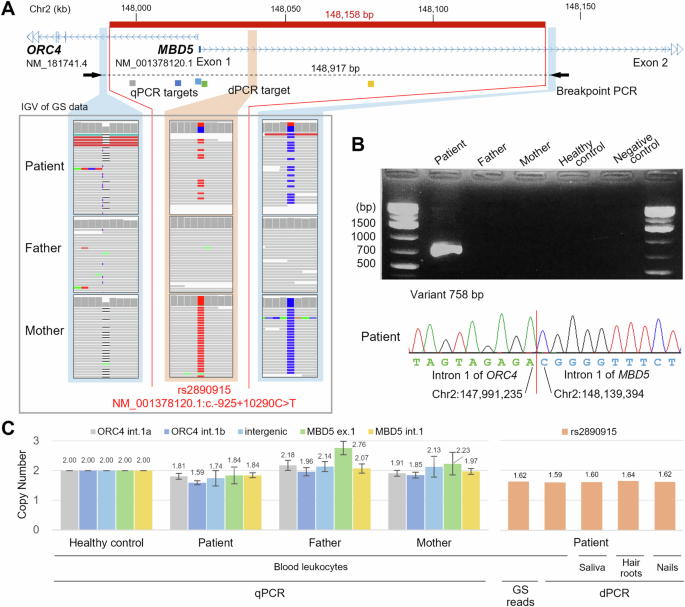 Mosaic deletions detected by genome sequencing in two families