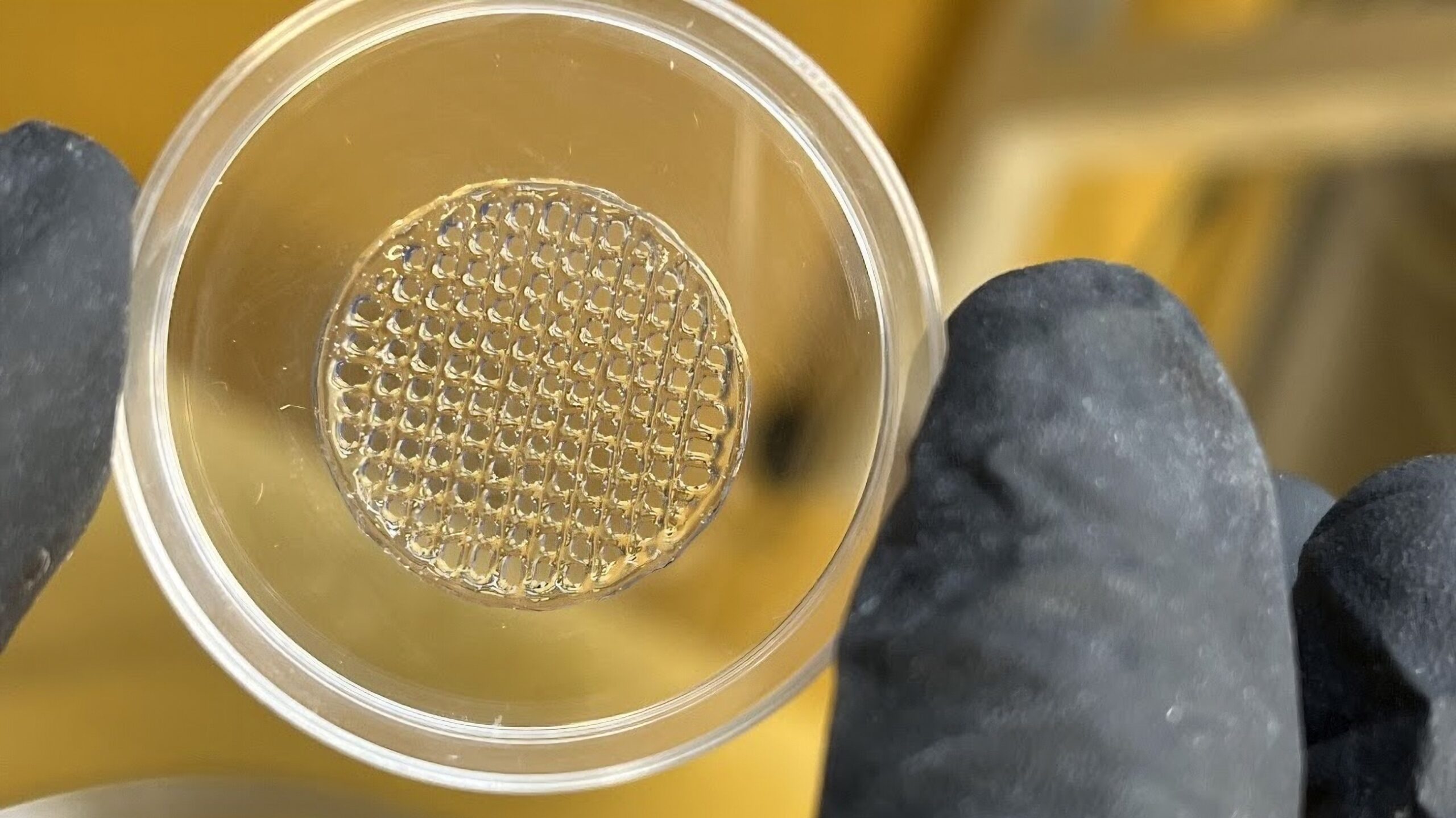 3D-printed ‘skin’ could make testing cosmetics on animals obsolete