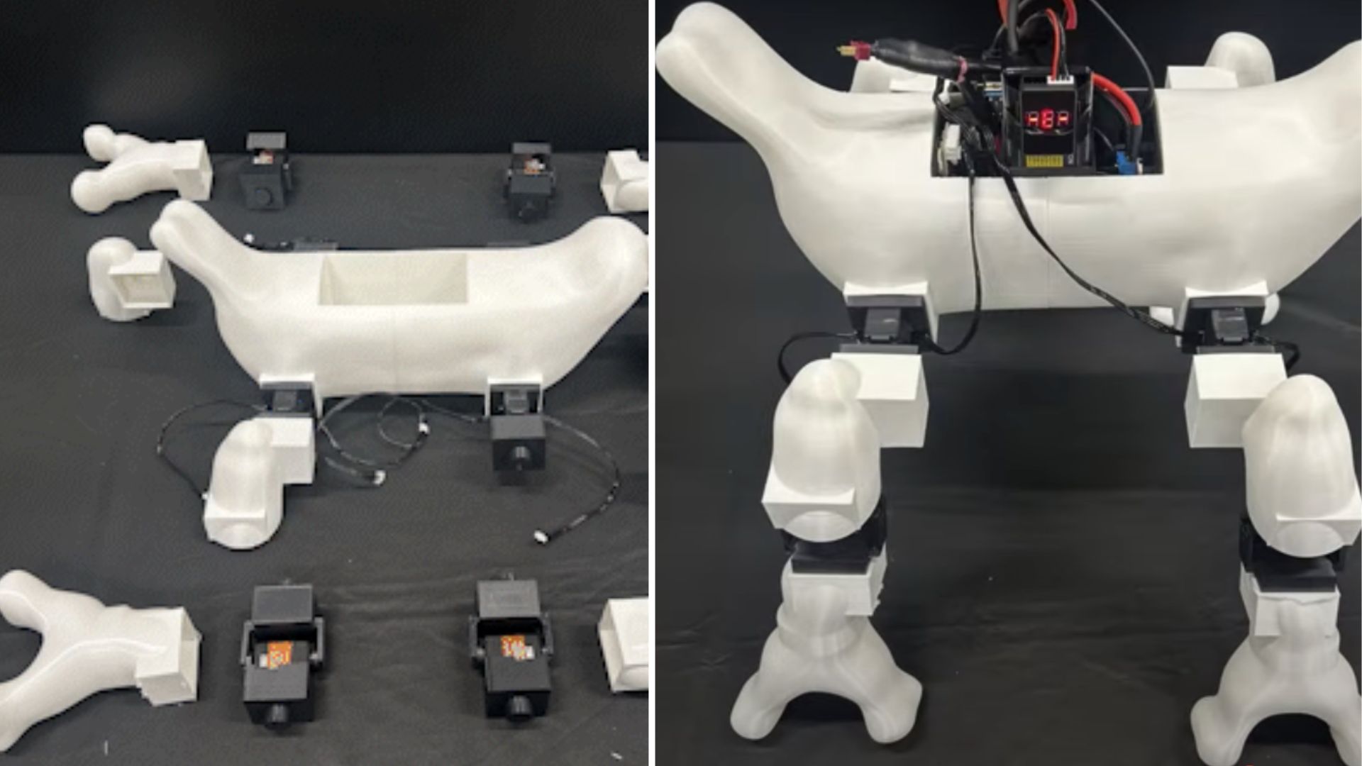 US engineers’ AI converts simple text into walking robots in a day