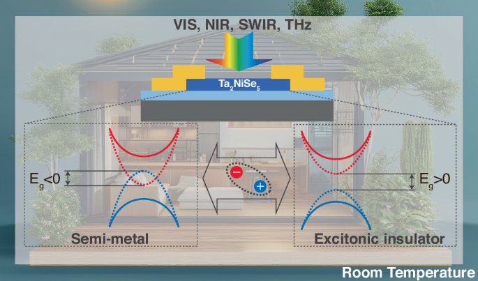 Excitonic insulator powers room-temperature ultra-sensitive visible to terahertz detection