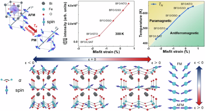 Characterizing G-type antiferromagnetism quantitatively with optical second harmonic generation