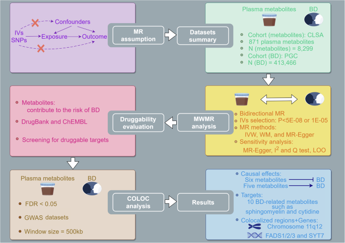 Bidirectional causal associations between plasma metabolites and bipolar disorder