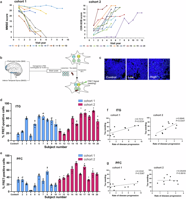 Neocortical tau propagation is a mediator of clinical heterogeneity in Alzheimer’s disease