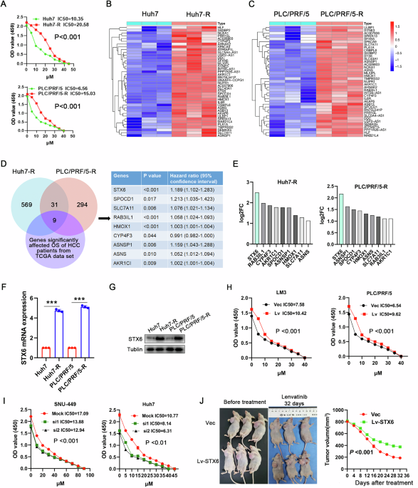 Syntaxin-6 mediated autophagy confers lenvatinib resistance in hepatocellular carcinoma