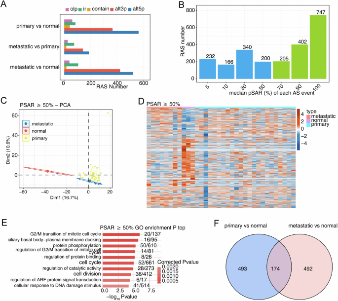 KPNA2 promotes osteosarcoma progression by regulating the alternative splicing of DDX3X mediated by YBX1