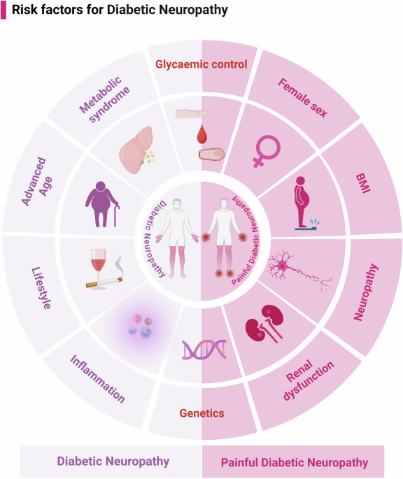 Diabetic neuropathy: cutting-edge research and future directions
