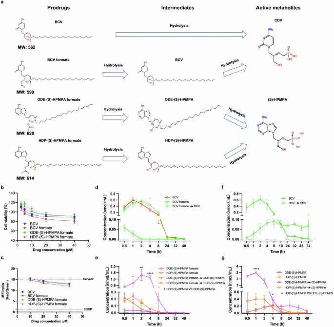 Novel derivatives of brincidofovir and (S)-9-(3-hydroxy-2-phosphonylmethoxypropyl)adenine inhibit orthopoxviruses and human adenoviruses more potently than brincidofovir