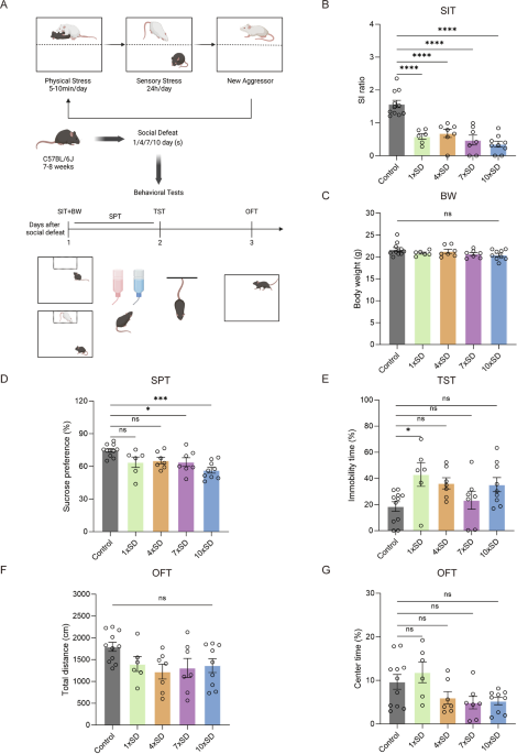 Dynamic alterations of depressive-like behaviors, gut microbiome, and fecal metabolome in social defeat stress mice