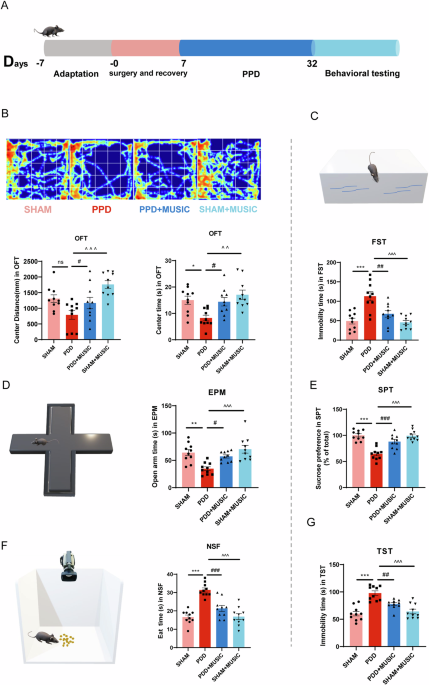 Music therapy as a preventive intervention for postpartum depression: modulation of synaptic plasticity, oxidative stress, and inflammation in a mouse model