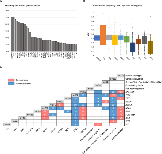 Molecular characterization of newly diagnosed acute myeloid leukemia patients aged 60 years or older: a report from the Beat AML clinical trial