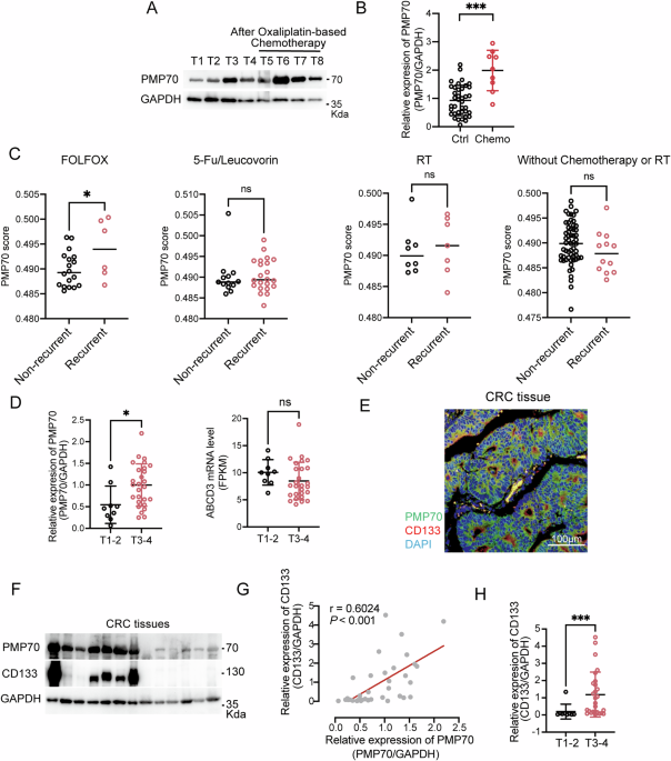 Peroxisomal membrane protein PMP70 confers drug resistance in colorectal cancer