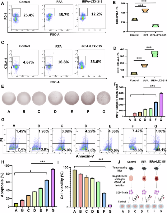 Oncolytic peptide LTX-315 plus an anti-CTLA-4 antibody induces a synergistic anti-cancer immune response in residual tumors after radiofrequency ablation of hepatocellular carcinoma