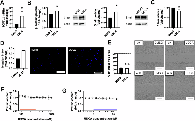 Ursodeoxycholic acid prompts glycolytic dominance, reductive stress and epithelial-to-mesenchymal transition in ovarian cancer cells through NRF2 activation