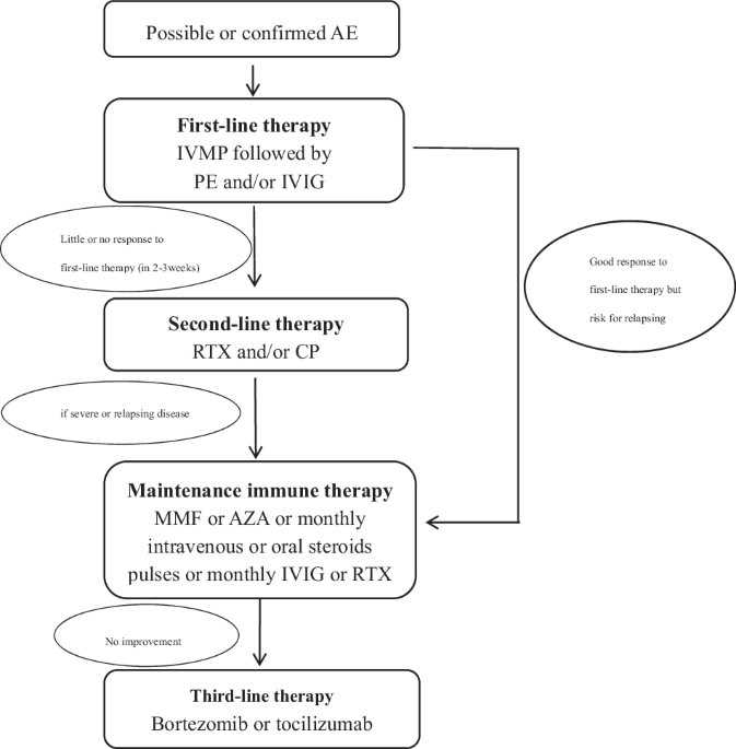 Immunotherapy for autoimmune encephalitis | Cell Death Discovery