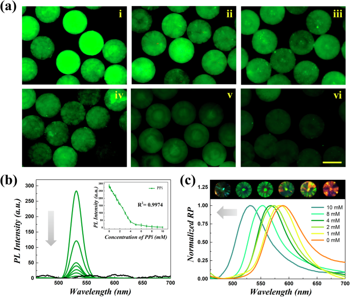Author Correction: Responsive photonic alginate hydrogel particles for the quantitative detection of alkaline phosphatase