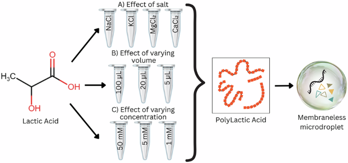 A deeper dive into primitive polylactate polymerization and microdroplet assembly under restrictive early Earth conditions