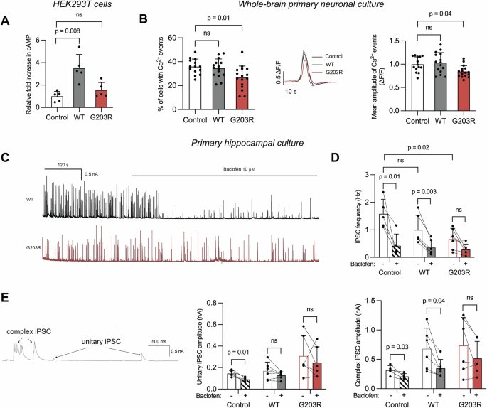 Development of an AAV-RNAi strategy to silence the dominant variant GNAO1 c.607G>A linked to encephalopathy