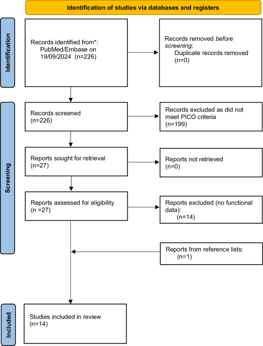 Functional outcomes of glansectomy to treat localised penile cancer: a systematic review