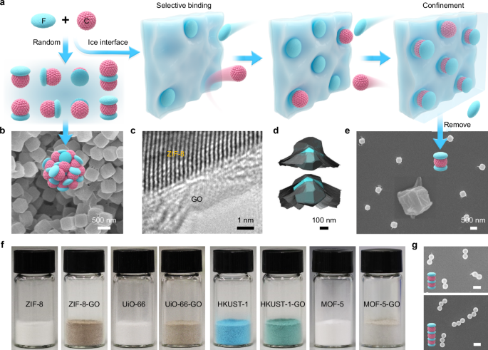 Sandwiching of MOF nanoparticles between graphene oxide nanosheets among ice grains