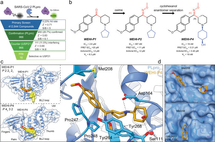 A novel PLpro inhibitor improves outcomes in a pre-clinical model of long COVID