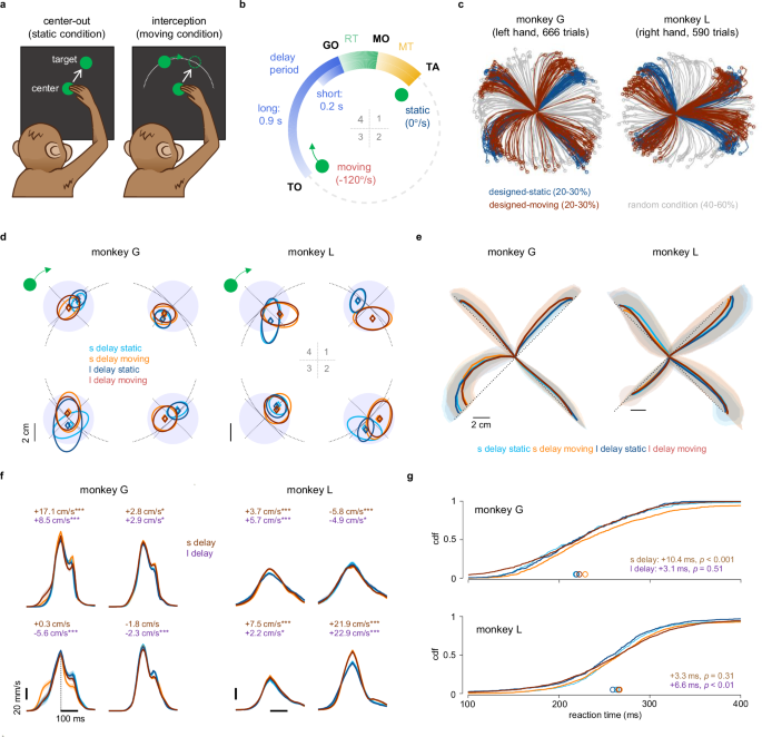 Continuous sensorimotor transformation enhances robustness of neural dynamics to perturbation in macaque motor cortex