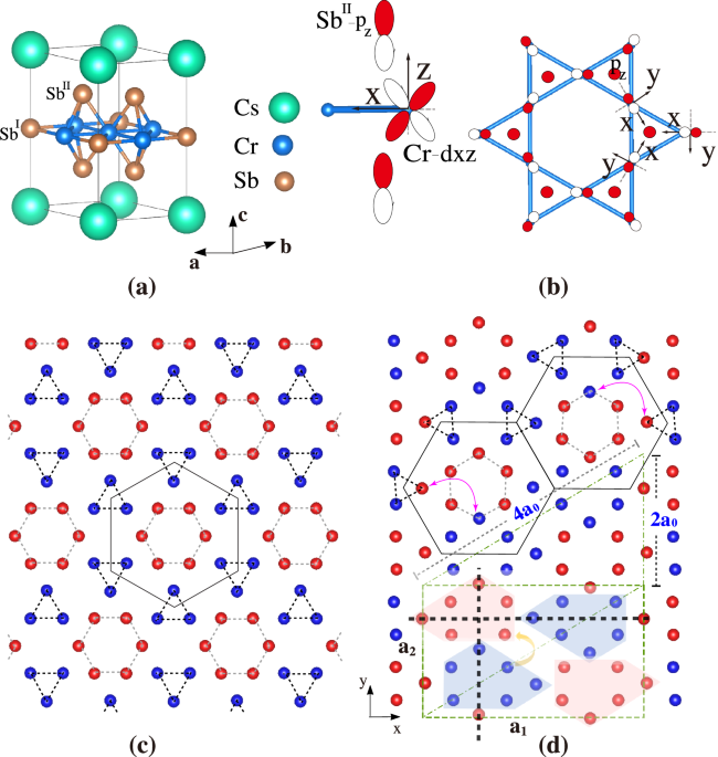 Altermagnetic ground state in distorted Kagome metal CsCr3Sb5