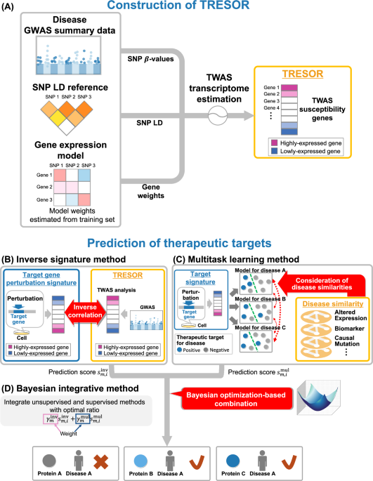 Therapeutic target prediction for orphan diseases integrating genome-wide and transcriptome-wide association studies
