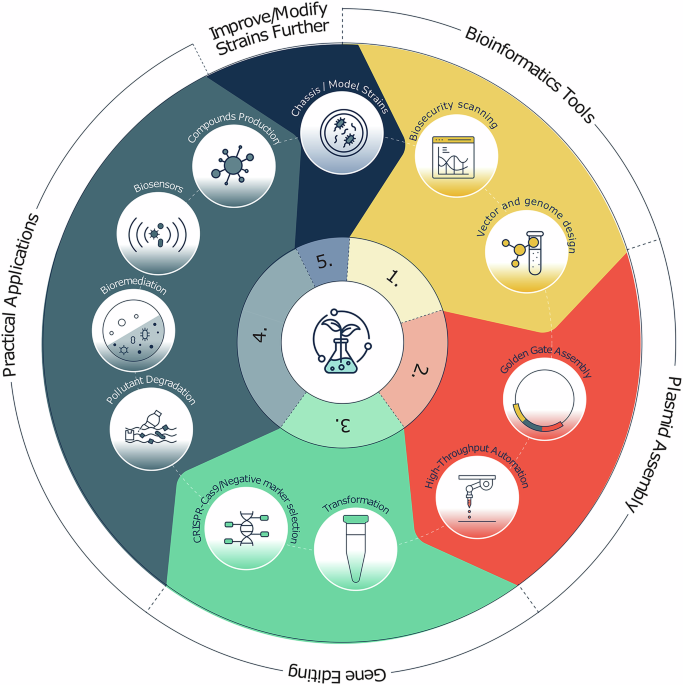 Engineering biology applications for environmental solutions: potential and challenges