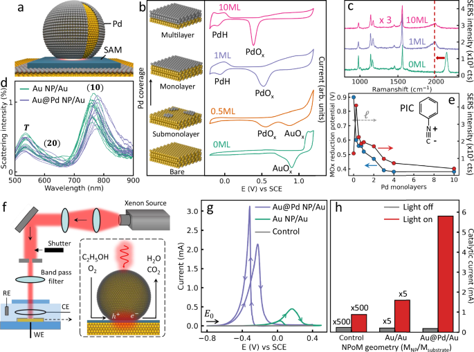 Alchemically-glazed plasmonic nanocavities using atomic layer metals: controllably synergizing catalysis and plasmonics