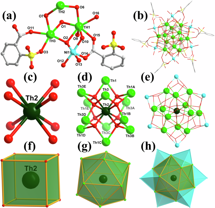 Nickel Ion Induced Multistage Assembly of Th13 Cluster