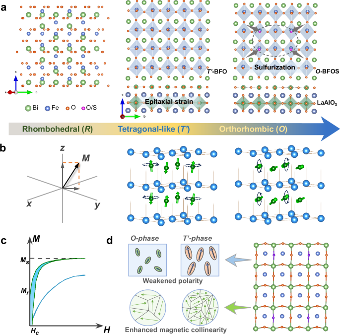Anionic Strategy-Modulated Magnetic Ordering in Super-elongated Multiferroic Epitaxial Films
