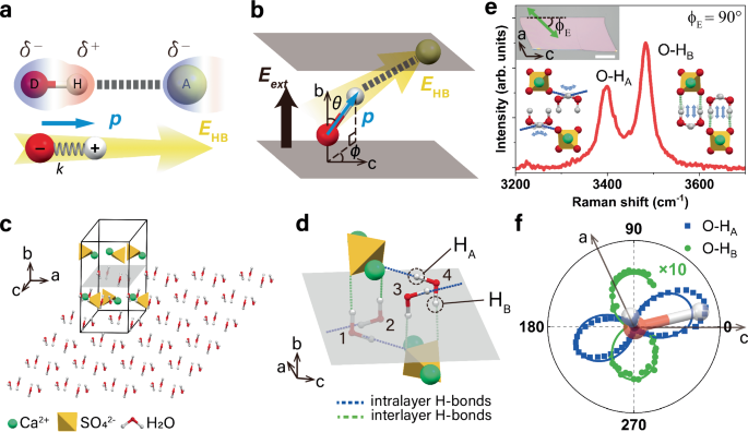 Quantifying hydrogen bonding using electrically tunable nanoconfined water