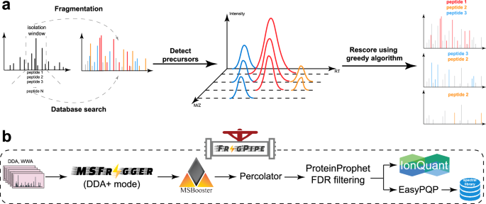 MSFragger-DDA+ enhances peptide identification sensitivity with full isolation window search