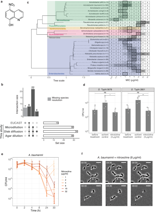 Uncovering nitroxoline activity spectrum, mode of action and resistance across Gram-negative bacteria