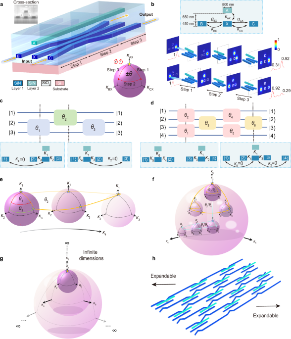 High-dimensional non-Abelian holonomy in integrated photonics