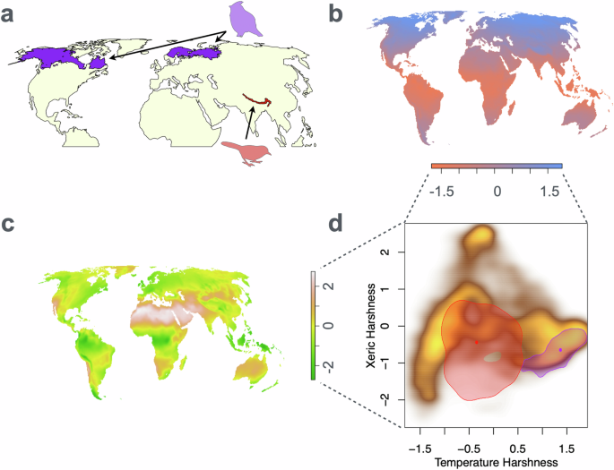 The global determinants of climate niche breadth in birds