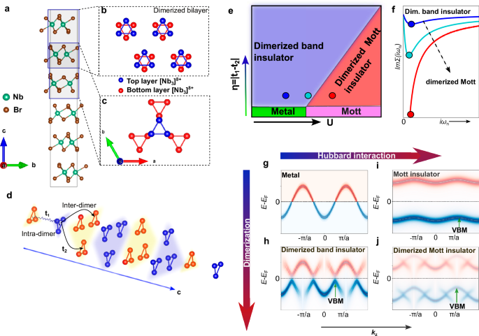 Momentum-resolved fingerprint of Mottness in layer-dimerized Nb3Br8