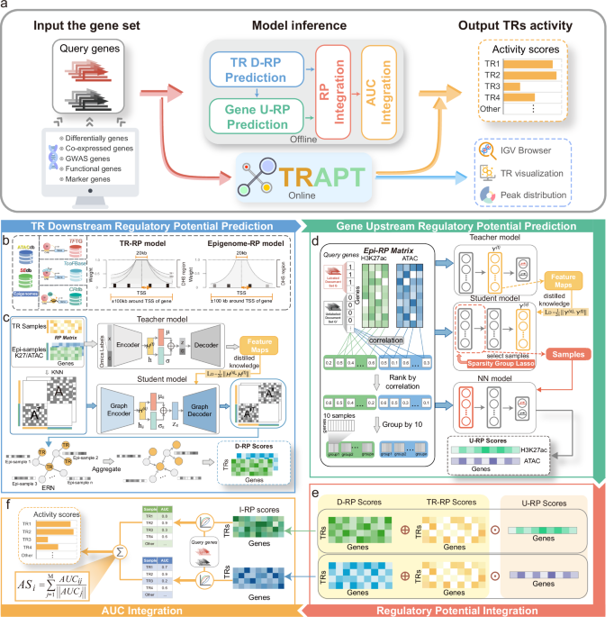 TRAPT: a multi-stage fused deep learning framework for predicting transcriptional regulators based on large-scale epigenomic data