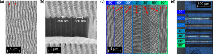 Canalized light creates directional and switchable surface structures in vanadium dioxide