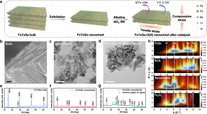 Reaction-driven formation of anisotropic strains in FeTeSe nanosheets boosts low-concentration nitrate reduction to ammonia