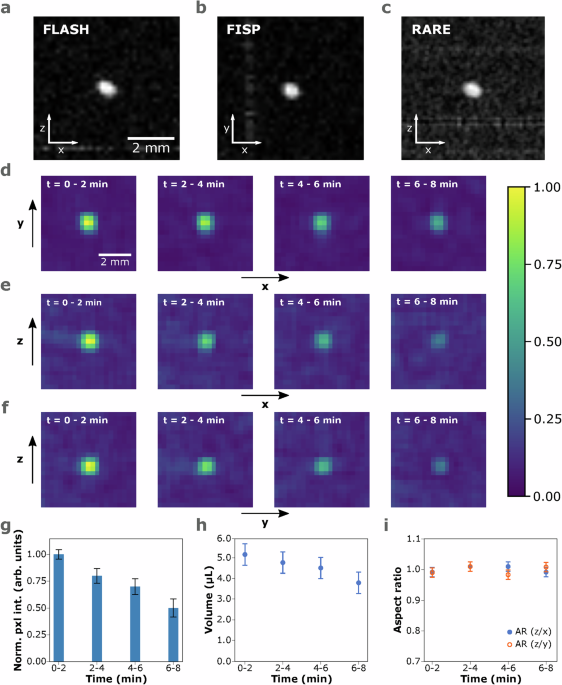 Contact-free magnetic resonance imaging and spectroscopy with acoustic levitation