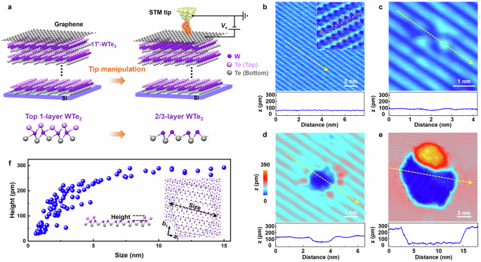 Realization of fractional-layer transition metal dichalcogenides