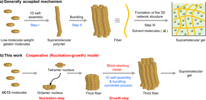 Molecular-level insights into the supramolecular gelation mechanism of urea derivative