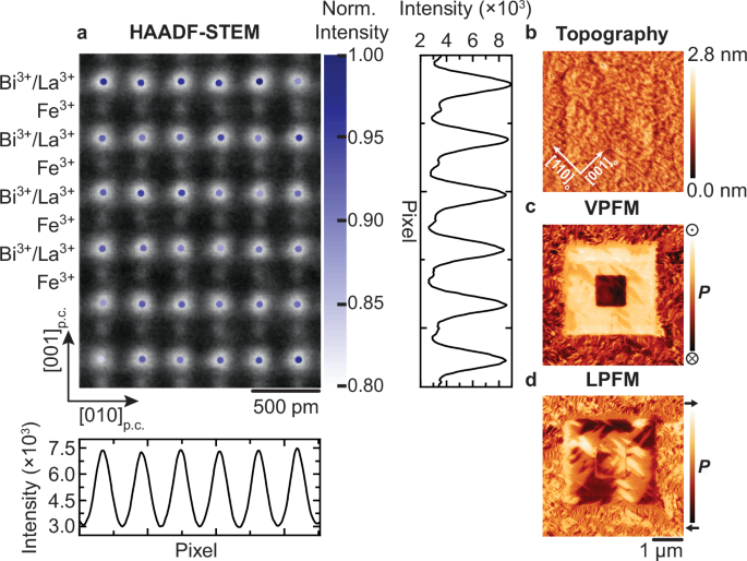 Reversible control over the distribution of chemical inhomogeneities in multiferroic BiFeO3