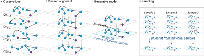 Probabilistic alignment of multiple networks