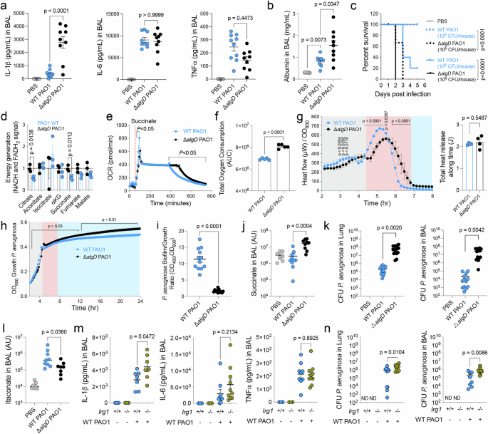 A host-pathogen metabolic synchrony that facilitates disease tolerance
