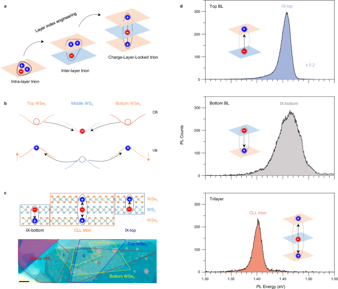 Correlated fermionic-bosonic insulating states in twisted hetero-trilayer semiconductors