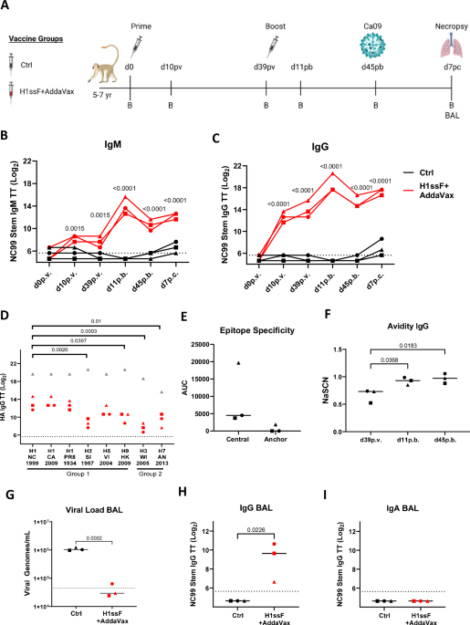 Antibody function predicts viral control in newborn monkeys immunised with an influenza virus HA stem nanoparticle