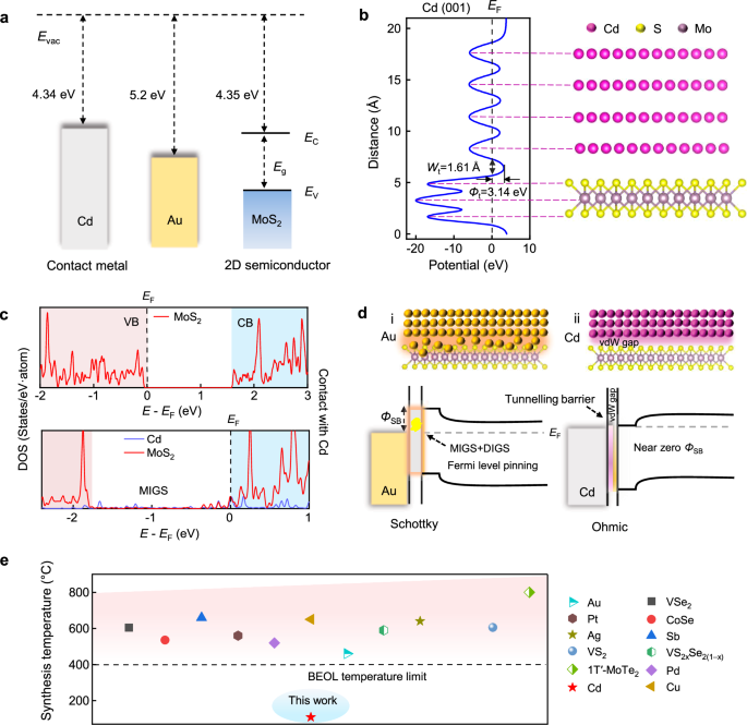 2D Cd metal contacts via low-temperature van der Waals epitaxy towards high-performance 2D transistors