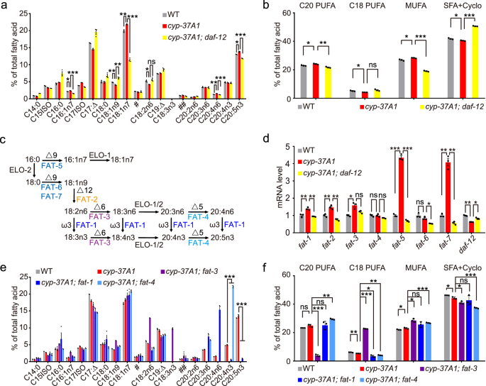 Nuclear receptor signaling regulates compartmentalized phosphatidylcholine remodeling to facilitate thermosensitive lipid droplet fusion